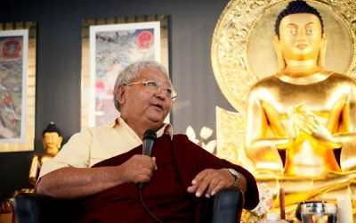 Online učení s Jigme Rinpočhem: Omezení pohybu, rozvíjení mysli