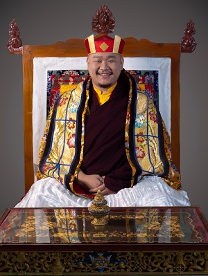 xr:d:DAF22g8-nqk:3,j:2215057271789234683,t:23121310